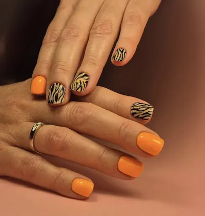 Oliwia Sikorska Paznokcie Włocławek